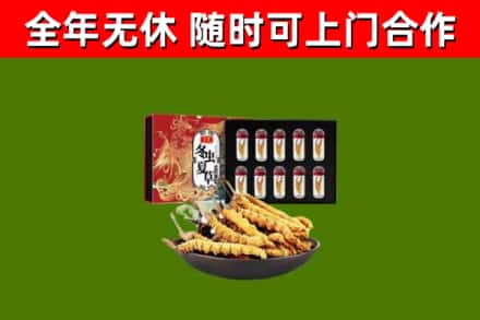 新荣区回收冬虫夏草价格