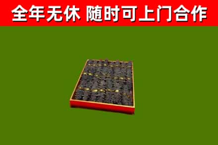 新荣区回收海参